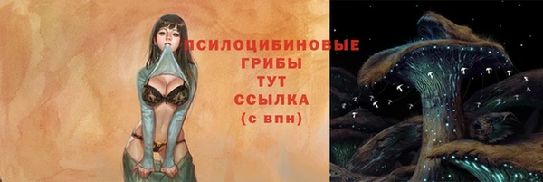 стафф Алзамай