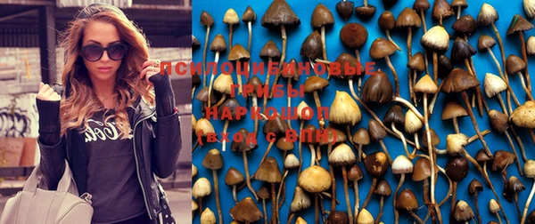 стафф Алзамай