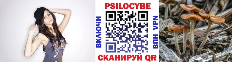 сколько стоит  Красноуральск  Галлюциногенные грибы Psilocybe 